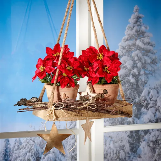 Ramură de Poinsettia