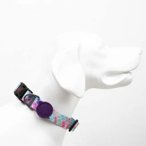 Zgarda pentru câini, Paws & Whiskers, Bubles, Poliester, Multicolor