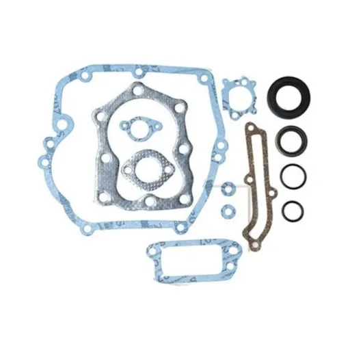 Set de garnituri Briggs-Stratton Quantum engines