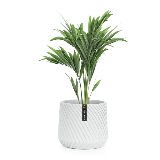 Fox & Fern Heusden, ghiveci de flori, Polystone, potrivit pentru plante, realizat manual