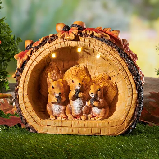 Decorațiuni solare Casa veveriței