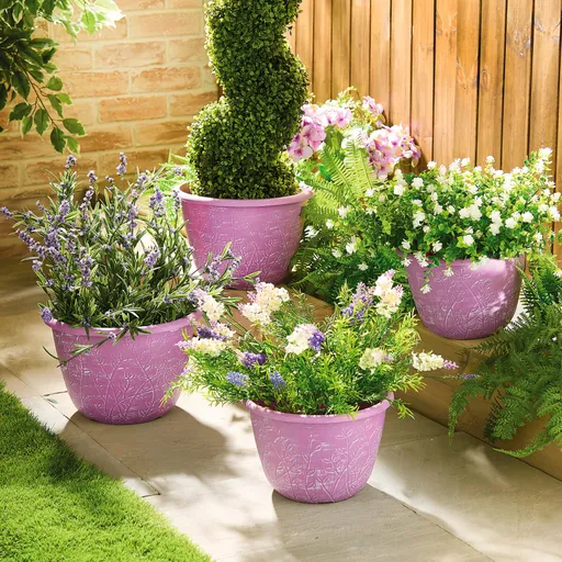 4 ghivece de flori lavanda