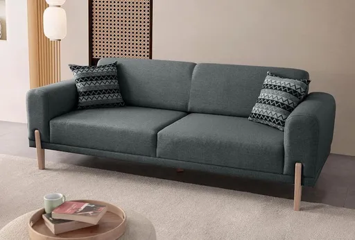 Canapea extensibila 3 locuri, Atelier del Sofa, 752EST1126, Frame: 70% HORNBEAM/30% MELAMINE COATED CHIPBOARD, Antracit