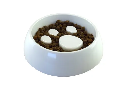 Bol pentru hrănirea lentă