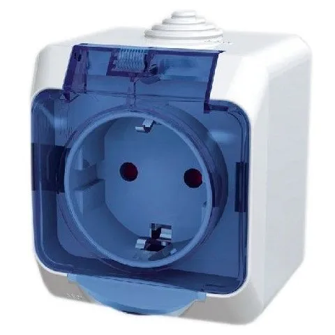 Priza simpla PT cu capac Schneider Cedar WDE000543