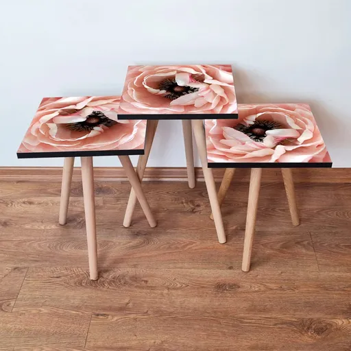 Set masute 3 piese, Hanah Home, 3Shp251, Somon / Maro / Alb