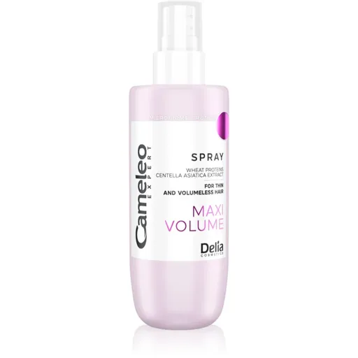 Delia Cosmetics Cameleo Expert Maxi Volume Spray spray de coafat extra volum 150 ml