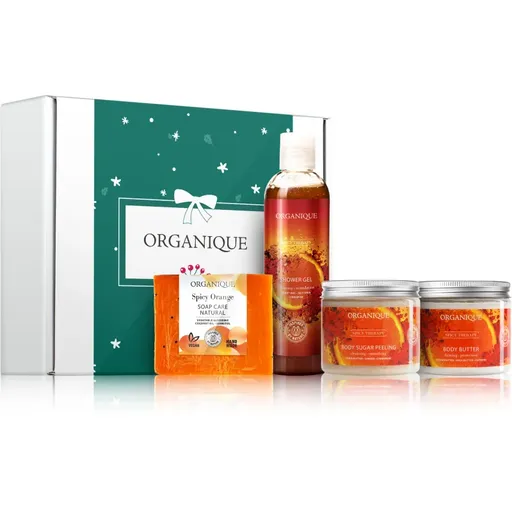 Organique Gift Set Cozy Winter Spice set cadou de Crăciun pentru corp