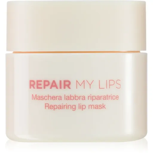 Diego dalla Palma REPAIR MY LIPS mască hidratantă pentru buze 25 ml