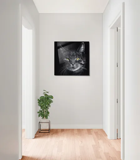 Tablou decorativ, 1245, Dimensiune: 60 x 60 cm, Multicolor