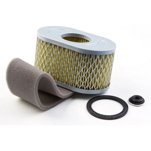 Filtru Aer Briggs - Stratton 797033, 798504