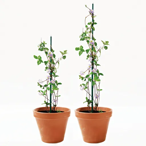 Set de 6 suporturi telesc. pentru plante