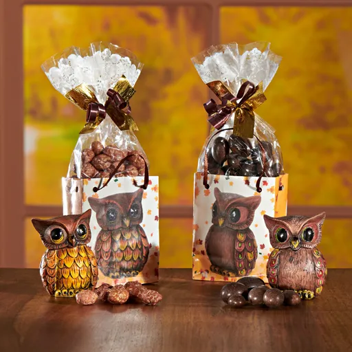 Mix de alune cu bufnițe set de 2