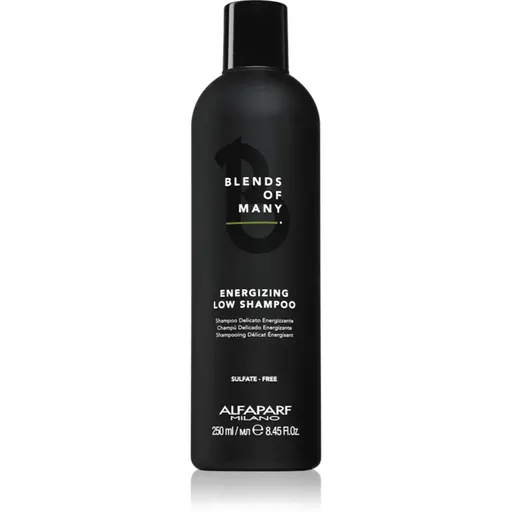 Alfaparf Milano Blends of Many Energizing sampon energizant pentru par fin 250 ml