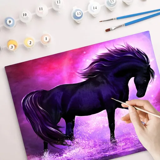Pictură după numere - Cal negru