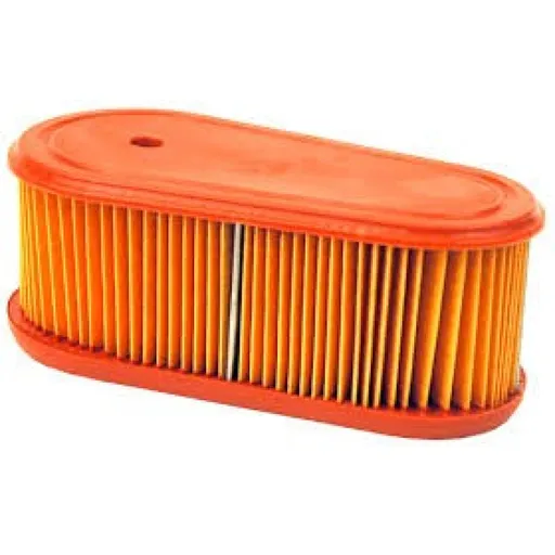 Filtru Aer Briggs - Stratton DOV 700