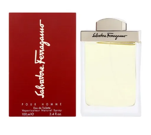 Salvatore Ferragamo Pour Homme - apă de toaletă cu pulverizator 100 ml