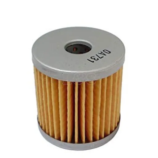 Filtru Motorina Motor Lombardini