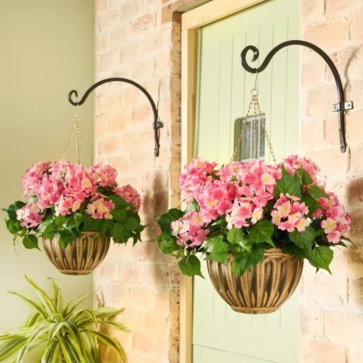 Hortensie în ghiveci