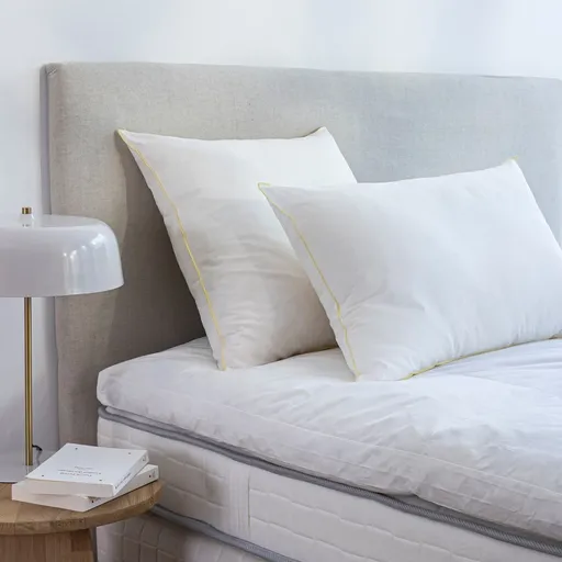 Perna este rezistentă la spălări intensive