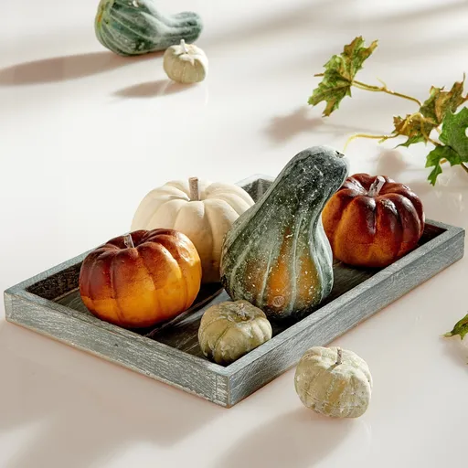 6 dovleci decorativi