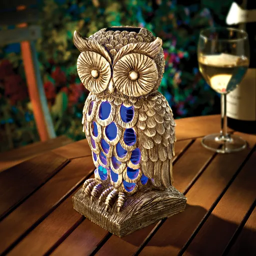 Bufniță ucigatoare de insecte