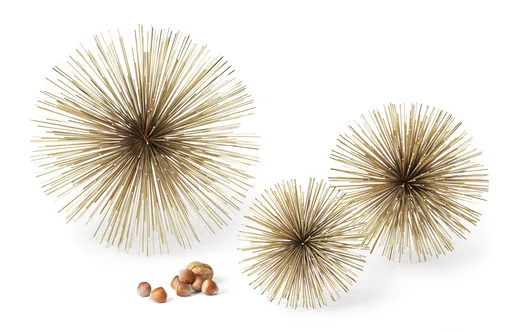 Philippi Steaua Riccio, dimensiune L - Filipi