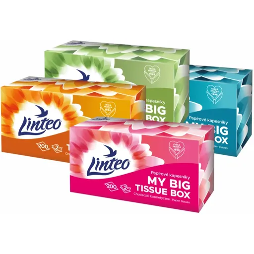 Linteo Paper Tissues Two-ply Paper, 200 pcs per box batiste de hârtie 200 buc