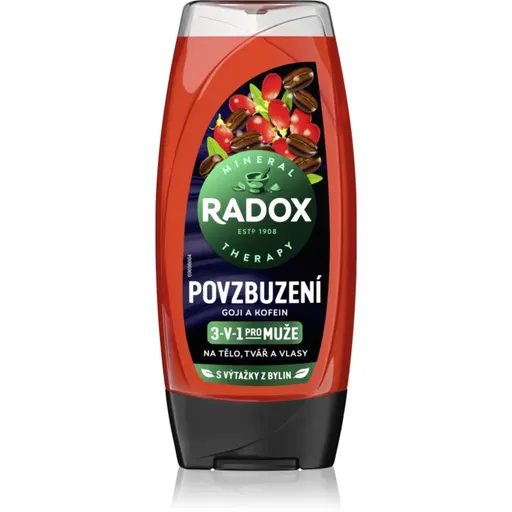 Radox Men Invigorating Gel de duș pentru bărbați 3 in 1 225 ml