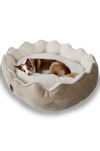 Pat pentru animale de companie, Paws & Whiskers, Elsa Dog L, Material exterior: 100% poliester, Crem