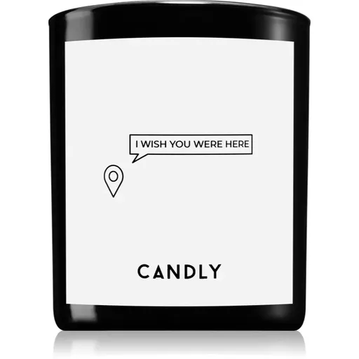 Candly & Co. I wish you were here lumânare parfumată 250 g