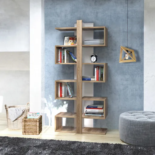 Corp biblioteca, Hanah Home, Ionis, Stejar