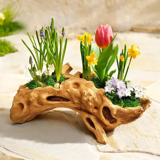 Ghiveci pentru flori Rădăcină de copac