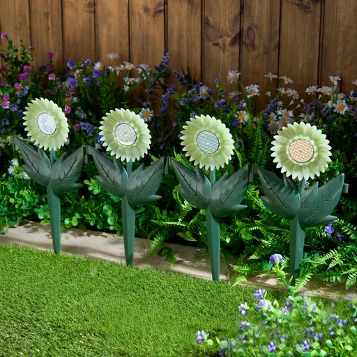 4 floarea-soarelui luminoase