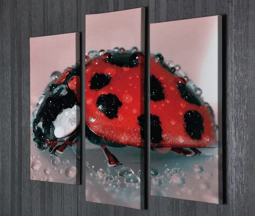 Tablou decorativ, UC58, 45 x 20 cm, Multicolor