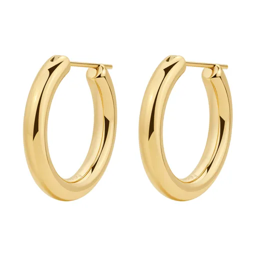 Brosway Cercei rotunzi distinctivi placați cu aur Aura BAU25