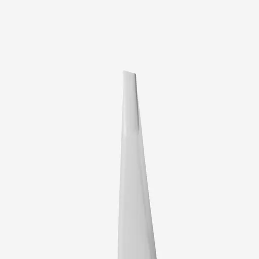 Penseta pt sprancene Staleks Expert TE-10/4