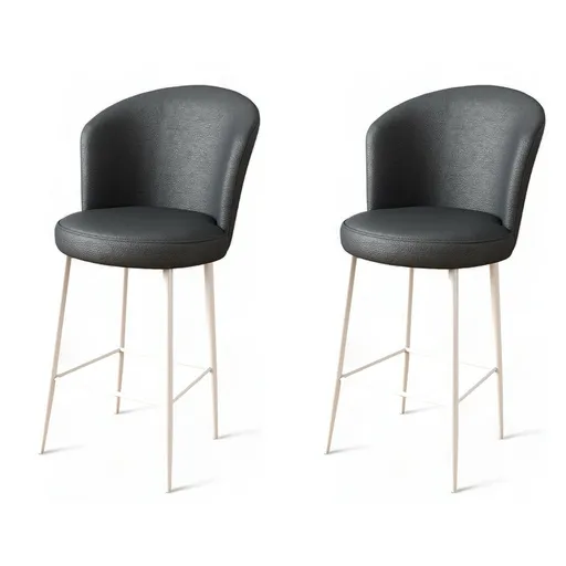Set de scaune de bar Uras Anthracite and White, 2buc., antracit, 2 buc.