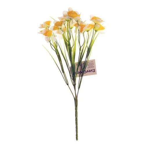 Narcis galben-alb, buchet cu 15 flori, înălțime 32cm
