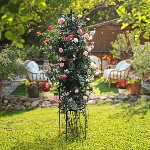 Suport pentru plante cățărătoare