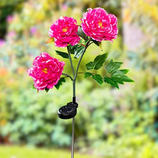 Felinare solare în formă de bujori