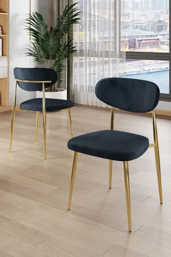 Set scaune 4 piese, Hanah Home, Vina, Antracit / Aur