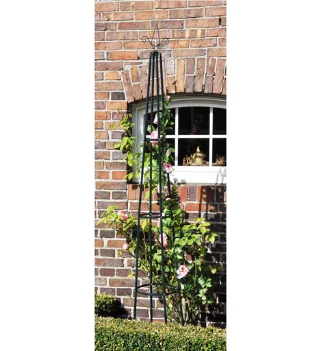 Suport pentru plante cățărătoare