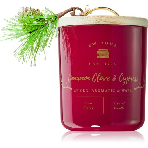 DW Home Farmhouse Cinnamon Clove & Cypress lumânare parfumată 244 g
