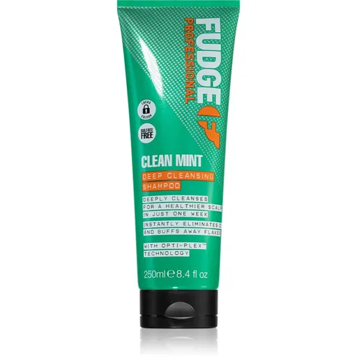 Fudge Clean Mint Shampoo șampon pentru păr gras 250 ml