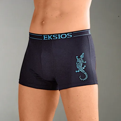 Set de 4 boxeri cu imprimeu Gecko