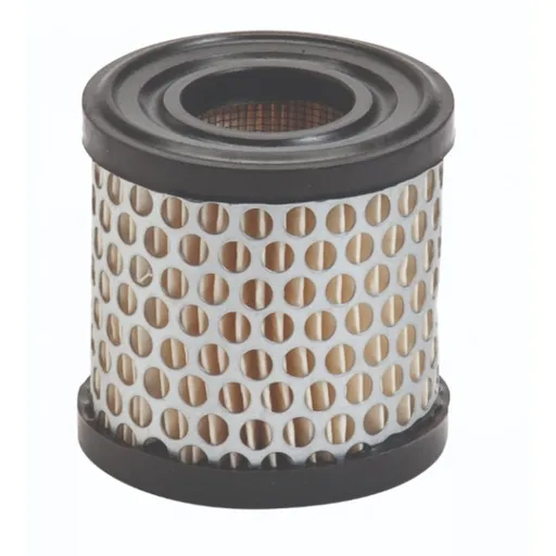 Filtru Aer Briggs - Stratton , Jhon Deere , Solo -392308