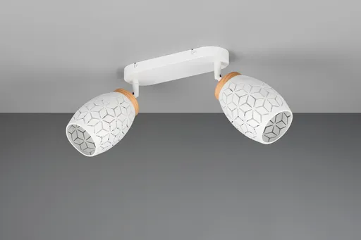 Plafoniera Bidar, RL, 28x12x27 cm, 10W, 2x E14, metal, alb mat/natur