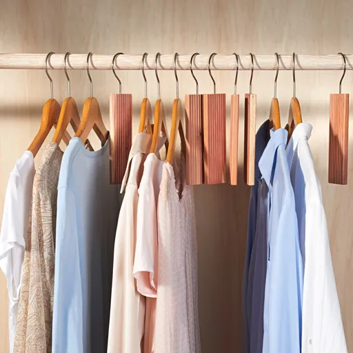 6 repelente de molii parfumate suspendate