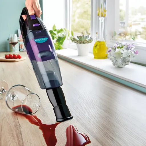 Aspirator pentru suprafețe umede și uscate